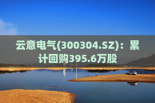 云意电气(300304.SZ)：累计回购395.6万股