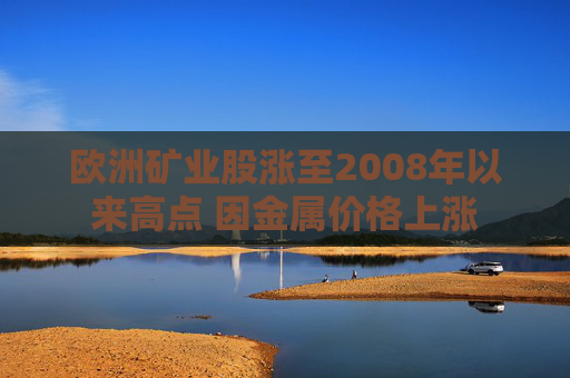 欧洲矿业股涨至2008年以来高点 因金属价格上涨