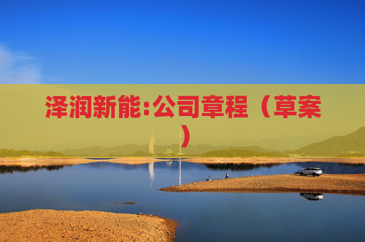 泽润新能:公司章程(草案)