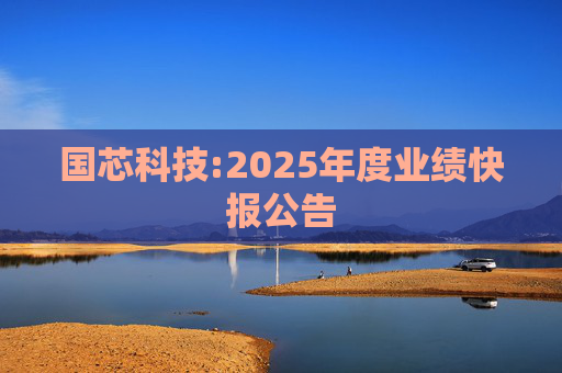 国芯科技:2025年度业绩快报公告
