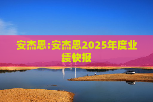 安杰思:安杰思2025年度业绩快报  第1张