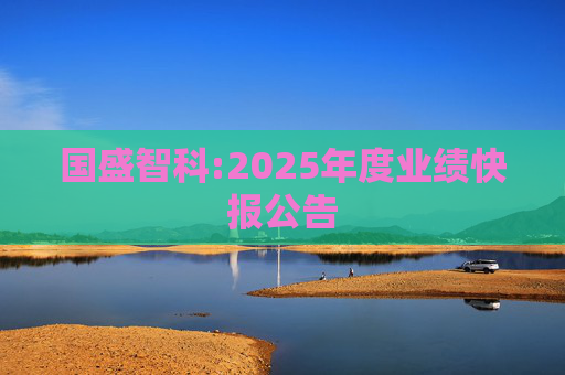 国盛智科:2025年度业绩快报公告