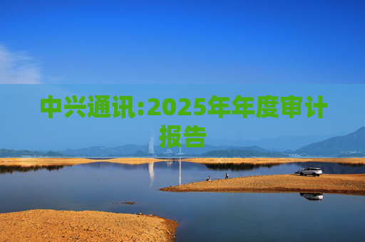 中兴通讯:2025年年度审计报告