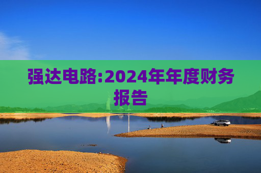强达电路:2024年年度财务报告