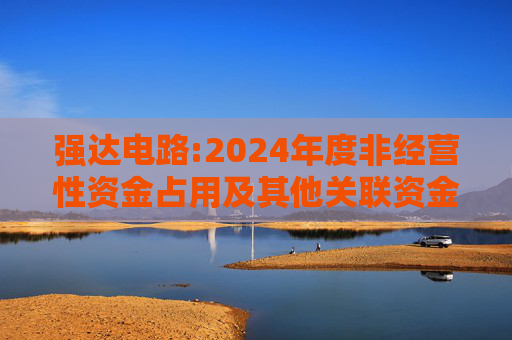 强达电路:2024年度非经营性资金占用及其他关联资金往来情况汇总表