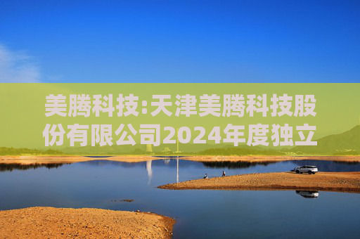 美腾科技:天津美腾科技股份有限公司2024年度独立董事述职报告（王谦）