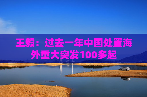 王毅：过去一年中国处置海外重大突发100多起  第1张