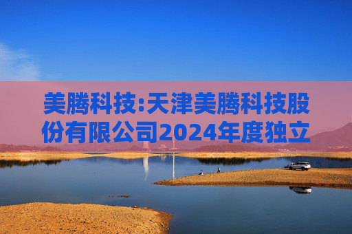 美腾科技:天津美腾科技股份有限公司2024年度独立董事述职报告（邢月改）  第1张