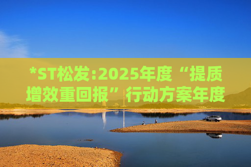 *ST松发:2025年度“提质增效重回报”行动方案年度评估报告暨2026年度“提质增效重回报”行动方案  第1张