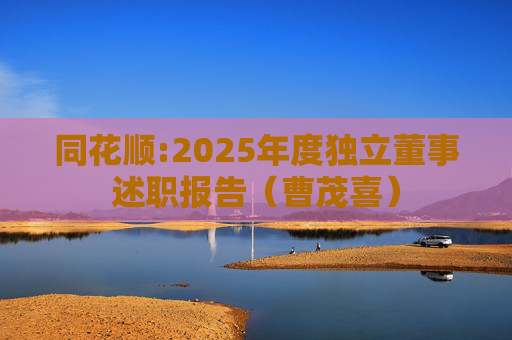同花顺:2025年度独立董事述职报告（曹茂喜）