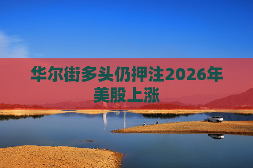 华尔街多头仍押注2026年美股上涨