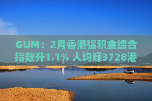 GUM：2月香港强积金综合指数升1.1% 人均赚3728港元