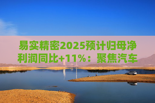 易实精密2025预计归母净利润同比+11%：聚焦汽车精密金属零部件研发销售，设立+增资子公司推进海外布局