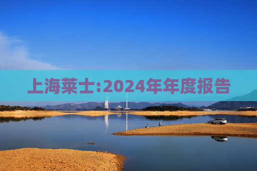 上海莱士:2024年年度报告