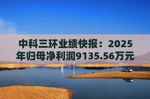 中科三环业绩快报：2025年归母净利润9135.56万元，同比增长660.80%
