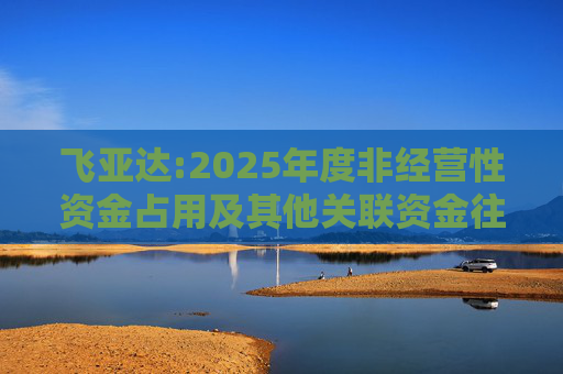 飞亚达:2025年度非经营性资金占用及其他关联资金往来情况汇总表  第1张