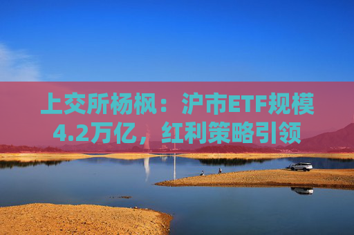 上交所杨枫:沪市ETF规模4.2万亿,红利策略引领 第1张 上交所杨枫:沪市ETF规模4.2万亿,红利策略引领 第1张