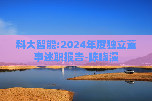 科大智能:2024年度独立董事述职报告-陈晓漫
