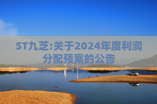 ST九芝:关于2024年度利润分配预案的公告