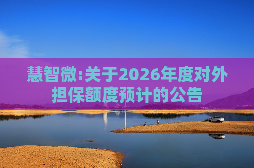 慧智微:关于2026年度对外担保额度预计的公告