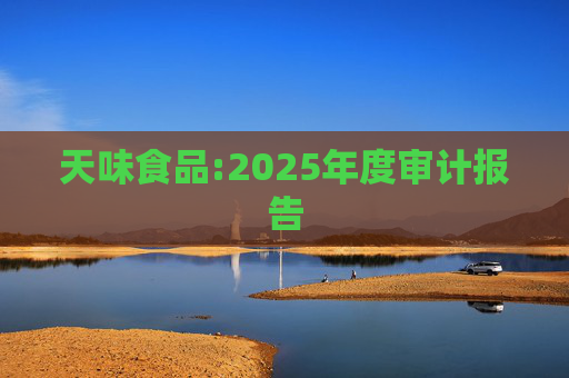 天味食品:2025年度审计报告  第1张