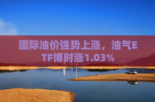 国际油价强势上涨，油气ETF博时涨1.03%