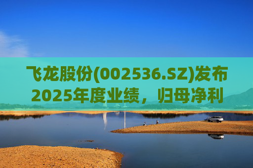 飞龙股份(002536.SZ)发布2025年度业绩，归母净利润3.17亿元，下降3.85%