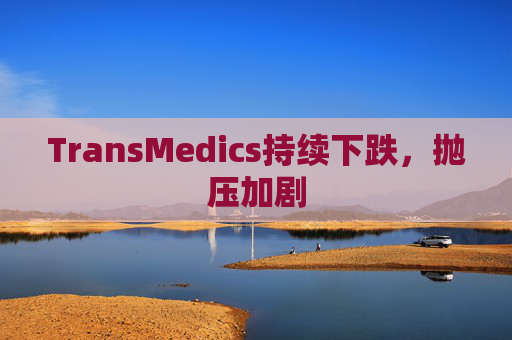 TransMedics持续下跌，抛压加剧