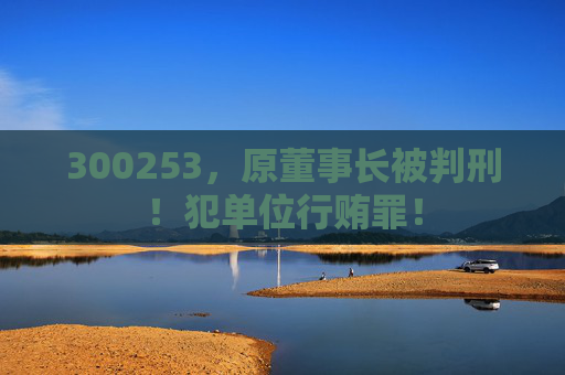 300253，原董事长被判刑！犯单位行贿罪！