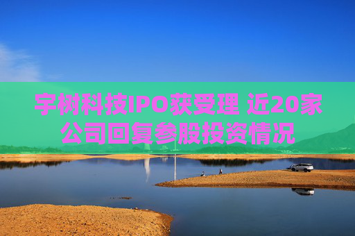 宇树科技IPO获受理 近20家公司回复参股投资情况