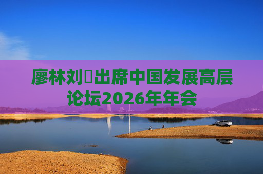 廖林刘珺出席中国发展高层论坛2026年年会