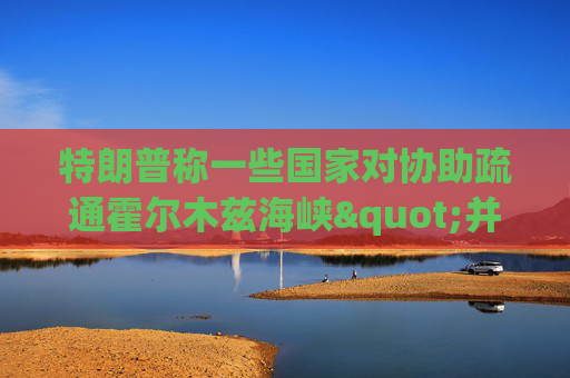 特朗普称一些国家对协助疏通霍尔木兹海峡"并不热心"