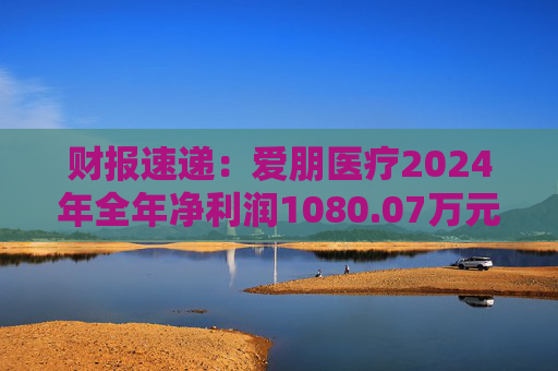 财报速递:爱朋医疗2024年全年净利润1080.07万元