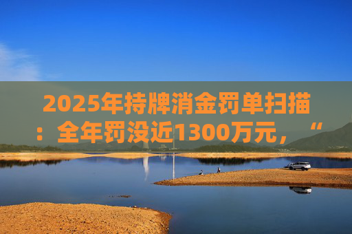 2025年持牌消金罚单扫描：全年罚没近1300万元，“合作管理、贷后风控、征信合规”三大领域成违规重灾区