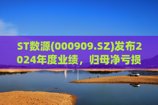 ST数源(000909.SZ)发布2024年度业绩,归母净亏损6601.25万元,收窄79.30%
