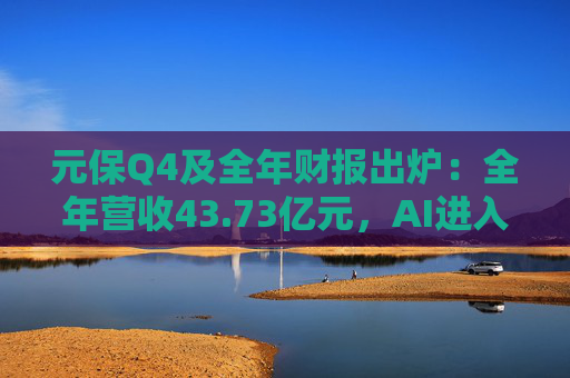元保Q4及全年财报出炉：全年营收43.73亿元，AI进入规模化应用