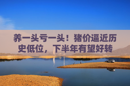 养一头亏一头！猪价逼近历史低位，下半年有望好转