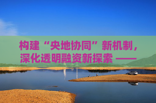 构建“央地协同”新机制，深化透明融资新探索 ——上海积极推进明示企业综合融资成本工作扩面