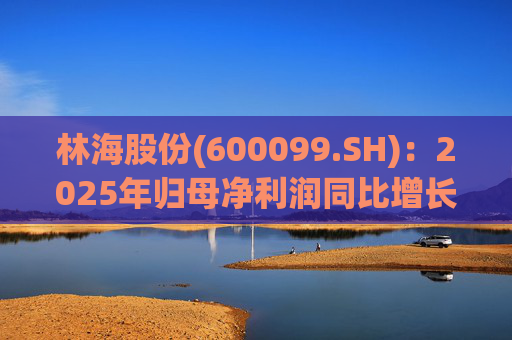 林海股份(600099.SH)：2025年归母净利润同比增长33.24%，每股拟派利0.045元