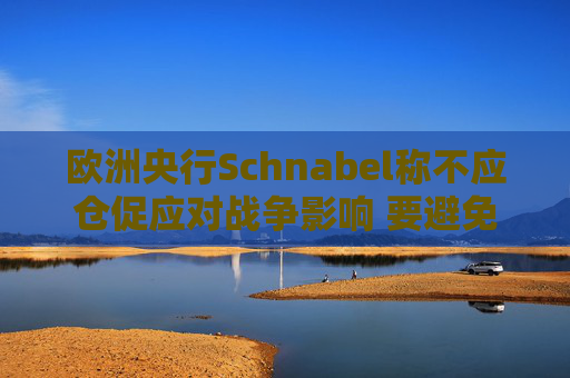 欧洲央行Schnabel称不应仓促应对战争影响 要避免反应过度  第1张