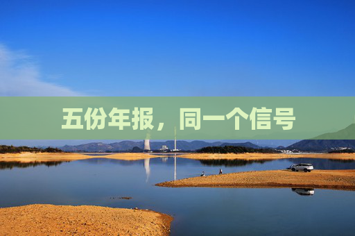 五份年报，同一个信号