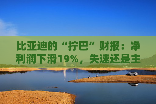 比亚迪的“拧巴”财报：净利润下滑19%，失速还是主动换挡？