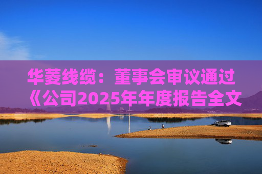 华菱线缆：董事会审议通过《公司2025年年度报告全文及其摘要》等多项议案  第1张
