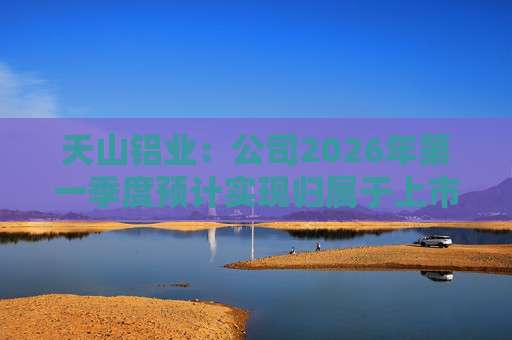 天山铝业：公司2026年第一季度预计实现归属于上市公司股东的净利润220000万元  第1张