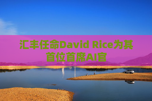 汇丰任命David Rice为其首位首席AI官