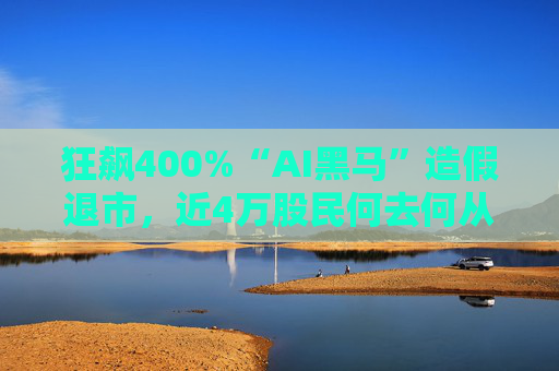 狂飙400%“AI黑马”造假退市，近4万股民何去何从？