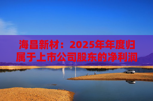 海昌新材：2025年年度归属于上市公司股东的净利润是55224078.48元