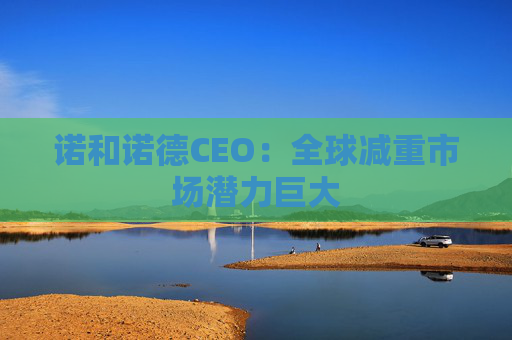 诺和诺德CEO：全球减重市场潜力巨大
