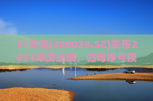 ST天龙(300029.SZ)发布2024年度业绩,归母净亏损2730万元