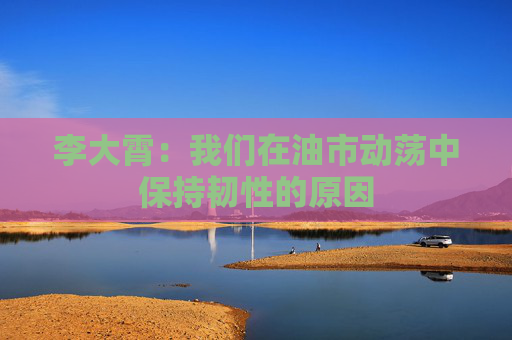 李大霄：我们在油市动荡中保持韧性的原因